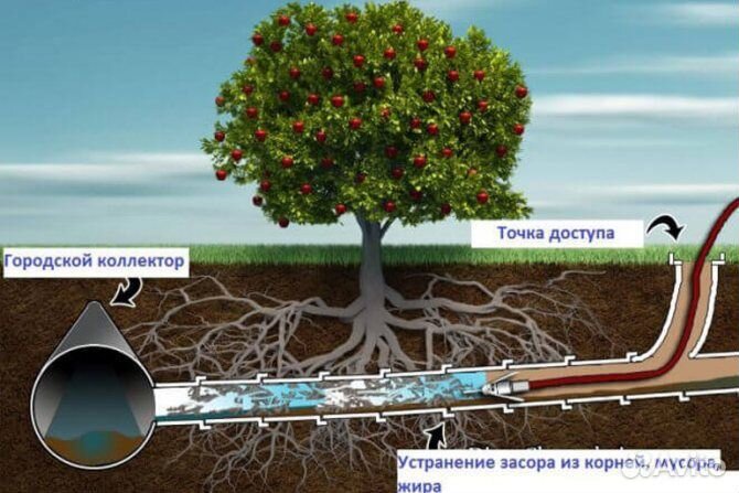 Откачка выгребных ям,Видео инспекция труб,Гидролуч