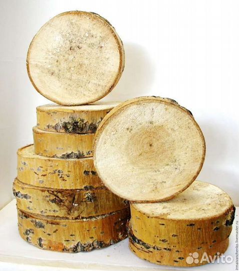 Спилы дерева