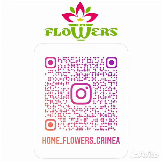 Натуральные цветы в стекле (в вакууме)