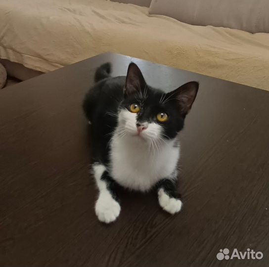 Мальчик ищет дом