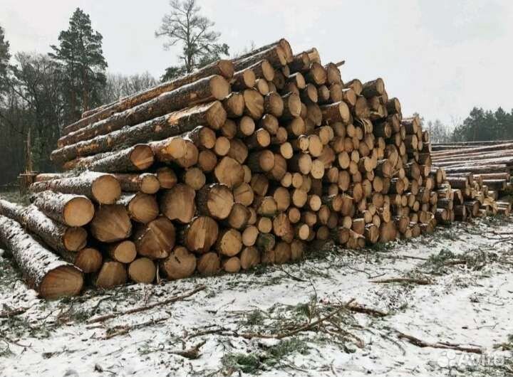 Лес кругляк пиловочник