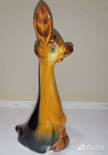 Кенгуру зик СССР