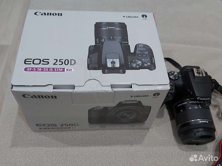 Фотоаппарат Canon EOS 250D Kit 18-55 mm Black