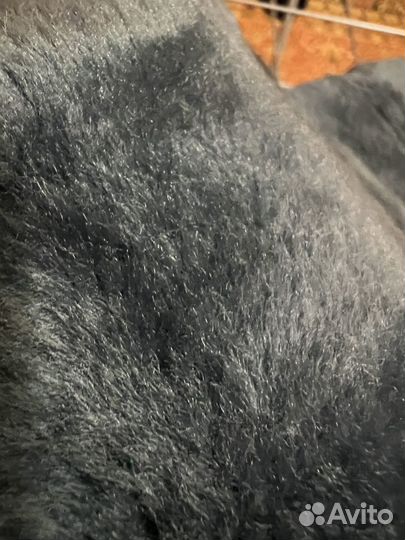 Мех на воротник на зимний бушлат