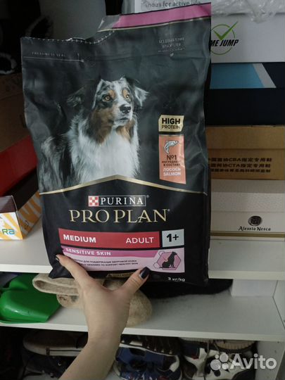 Корм для собак