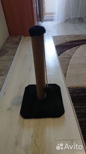 Кого-то ка для кошек