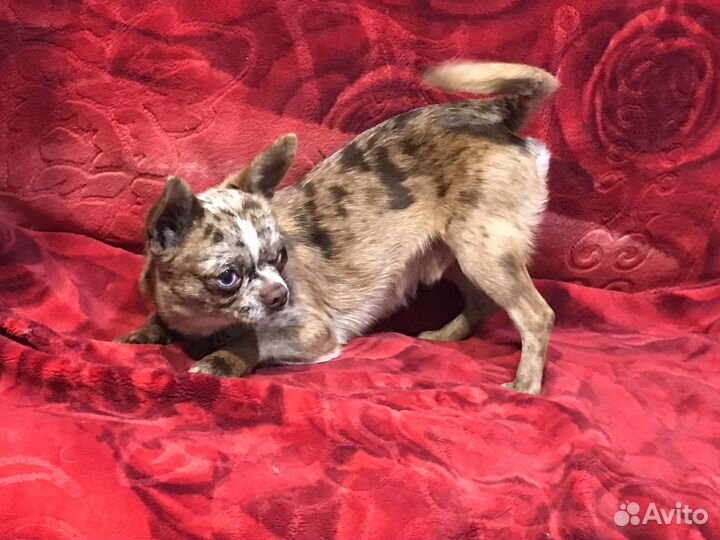 Мальчик с документами