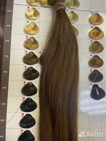 Скупка волос