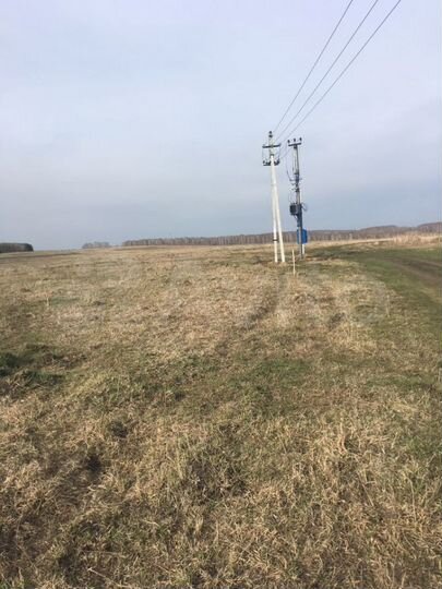 Участок 15 га (СНТ, ДНП)