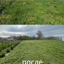 Покос травы/небольшая приборка, Майкоп