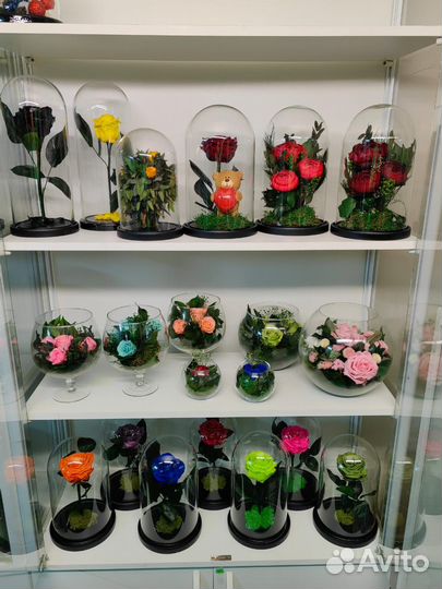 Роза в колбе. Флорариум. Подарок. Декор, от