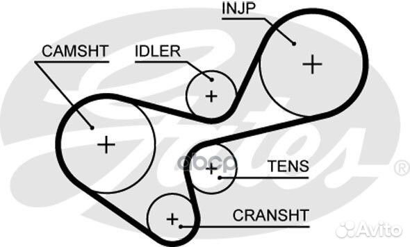 5639XS Ремень грм Great Wall hover 2.8 TCi 4WD