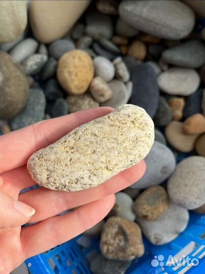 Морские камни