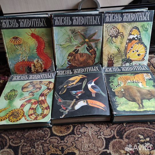 Книги Жизнь животных