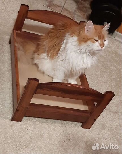 Котокровать