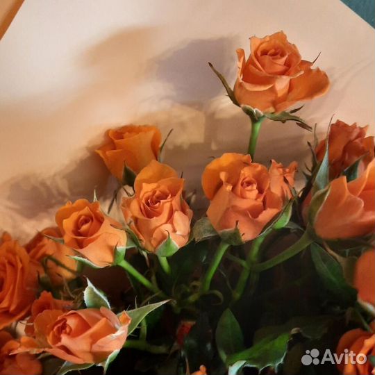 Кустовые розы с доставкой