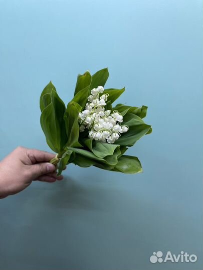 Ландыш букет