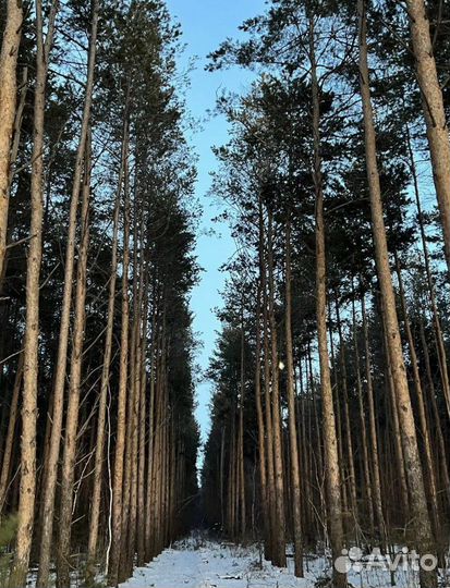 Отдых на горячем источнике