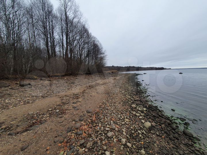 Участок 4 га (СНТ, ДНП)