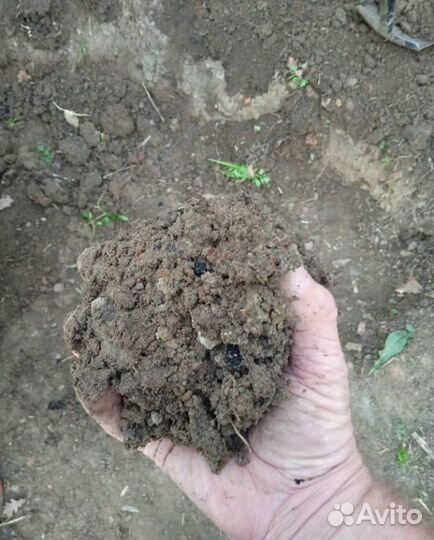 Грунт для отсыпки дорог