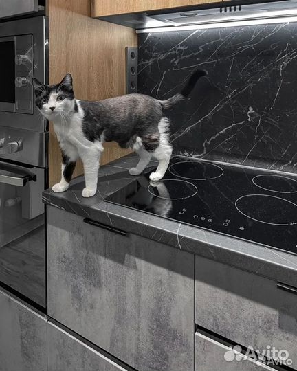 Кухонный гарнитур на заказ. Нестандартные решения