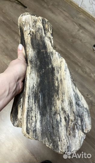 Дрифтвуд для рукоделия