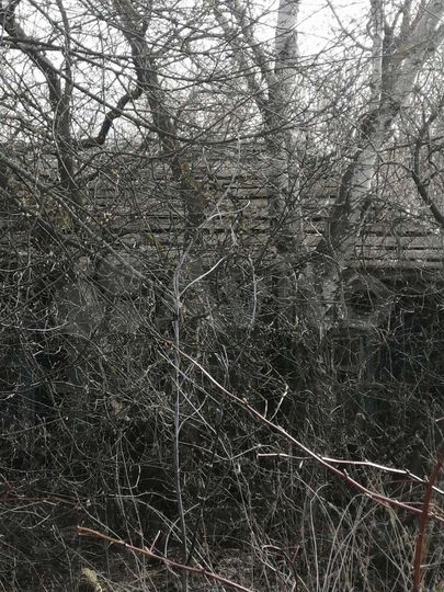 Дом 50 м² на участке 40 сот.