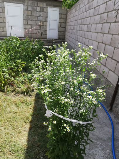 Дом 130 м² на участке 9,5 сот.