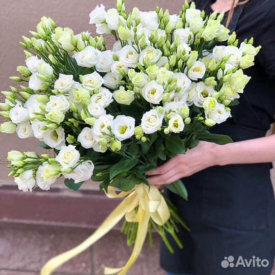 Эустома букет из эустомы Тверь эустома