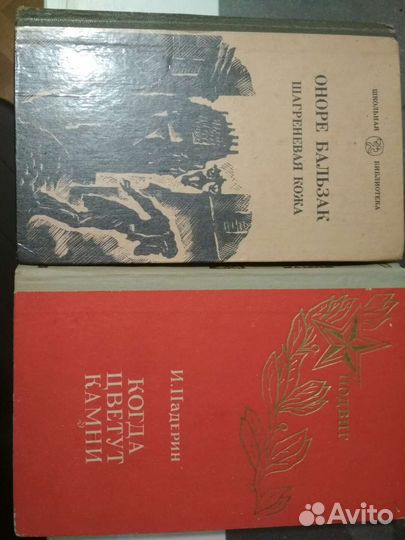 Шагреневая кожа Оноре Бальзак