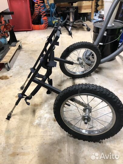 Инвалидная коляска для задних лап для