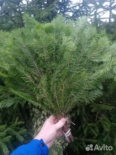 Банный набор