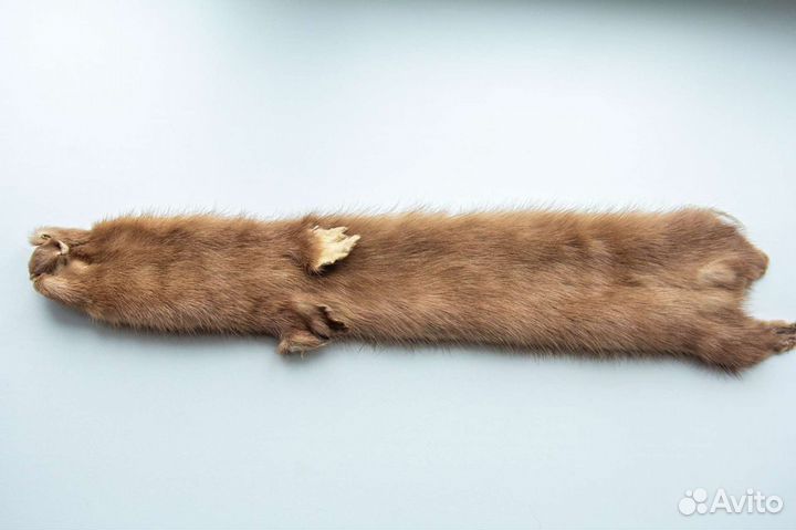 Норка, шкурка-чулок, заводская