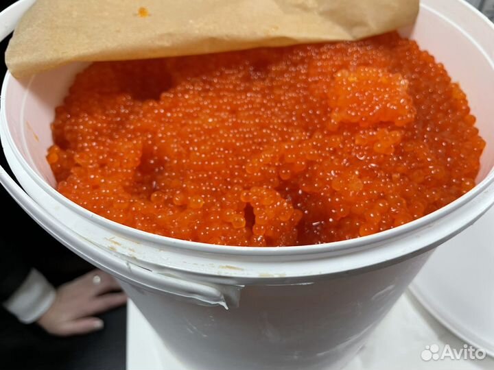Красная икра опт