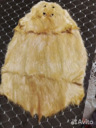 Шкурка животного