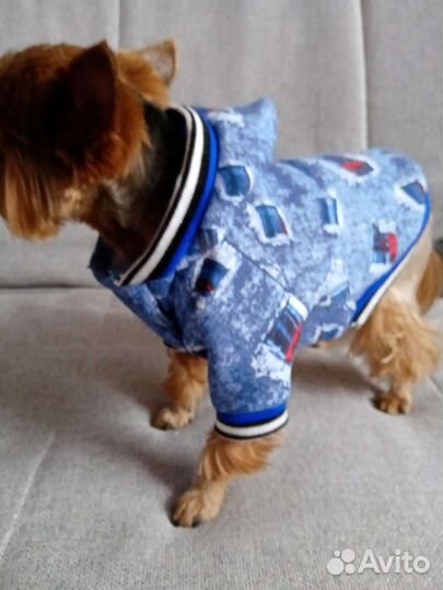 Худи для сабачек