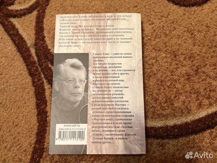 Стивен кинг Девочка которая любила