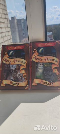 Коты воители, пророчество синей звезды