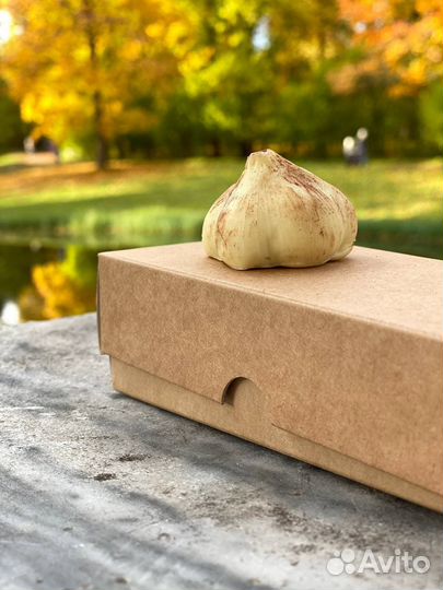 Шоколадный чеснок на Хэллоуин