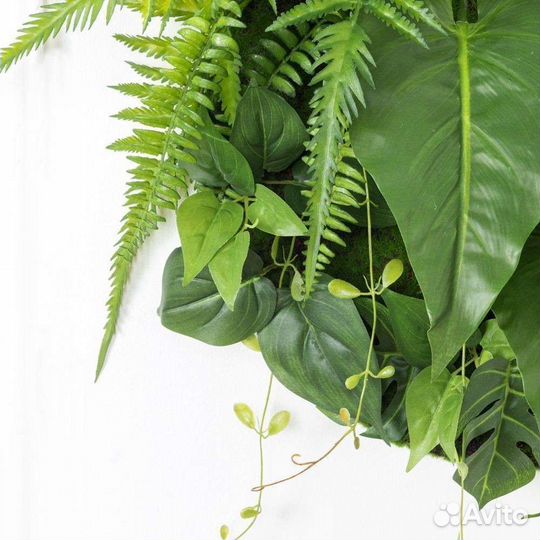 Круглые картины, панно из растений, арт 1123, от