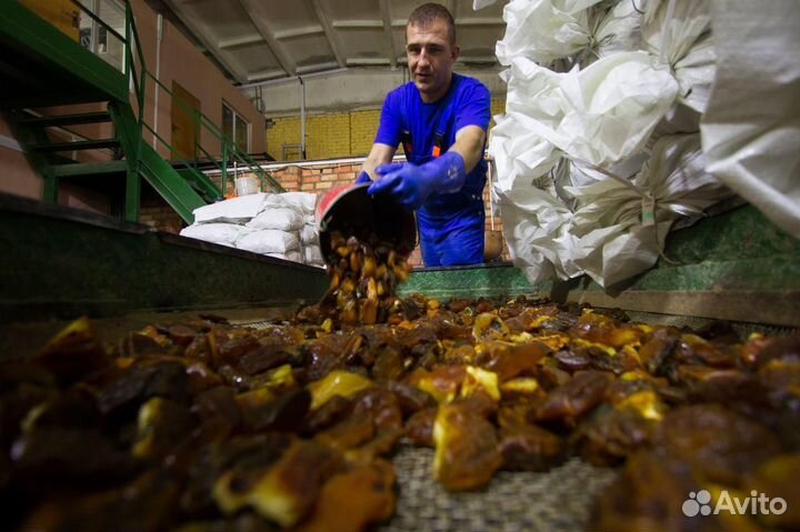 Сортировщик Вахта