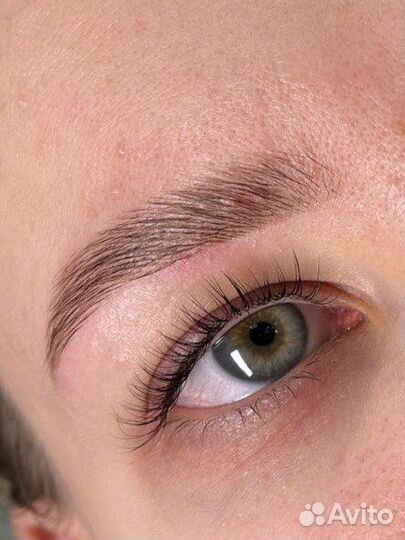 Обучение курс бровист