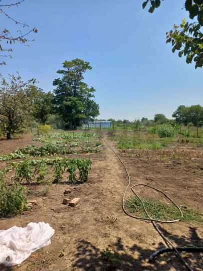 Дом 23,3 м² на участке 17 сот.