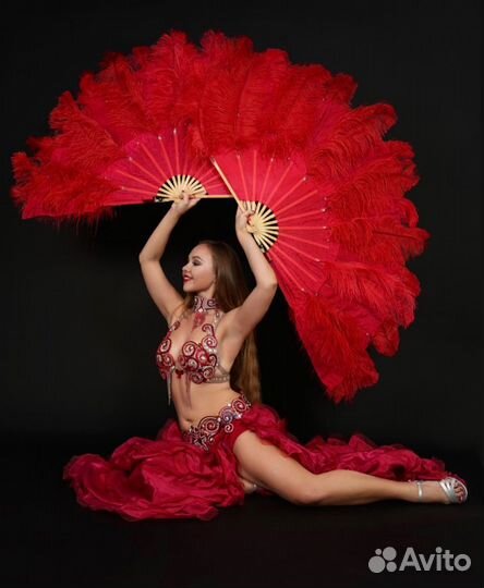 Восточные танцы / танец живота на праздник