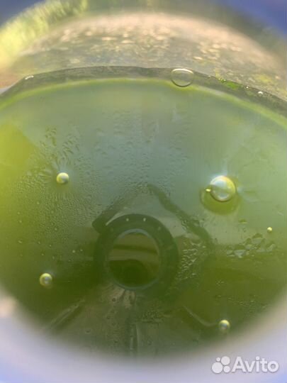 Хлорелла-суспензия-концентрат для пруда 1л