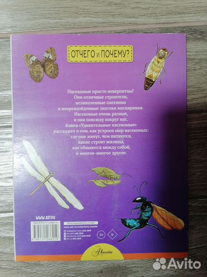 Инцеклопедии