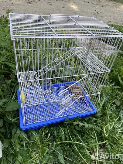 Клетка для грызунов большая