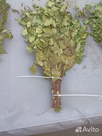 Веники для бани березовый на корм животным