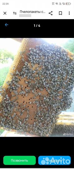Продам пчелосемьи