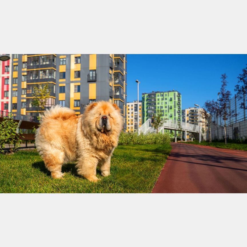 2-к. квартира, 83,4 м², 1/5 эт.